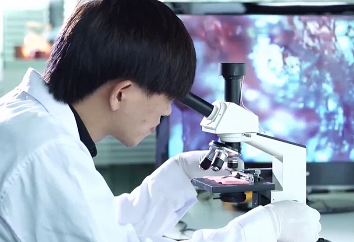 Technicians Testing Kinesiology Tape Technicians Testing Kinesiology Tape